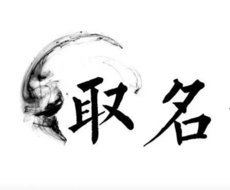  巩留宝宝取名 大师一对一人工起名